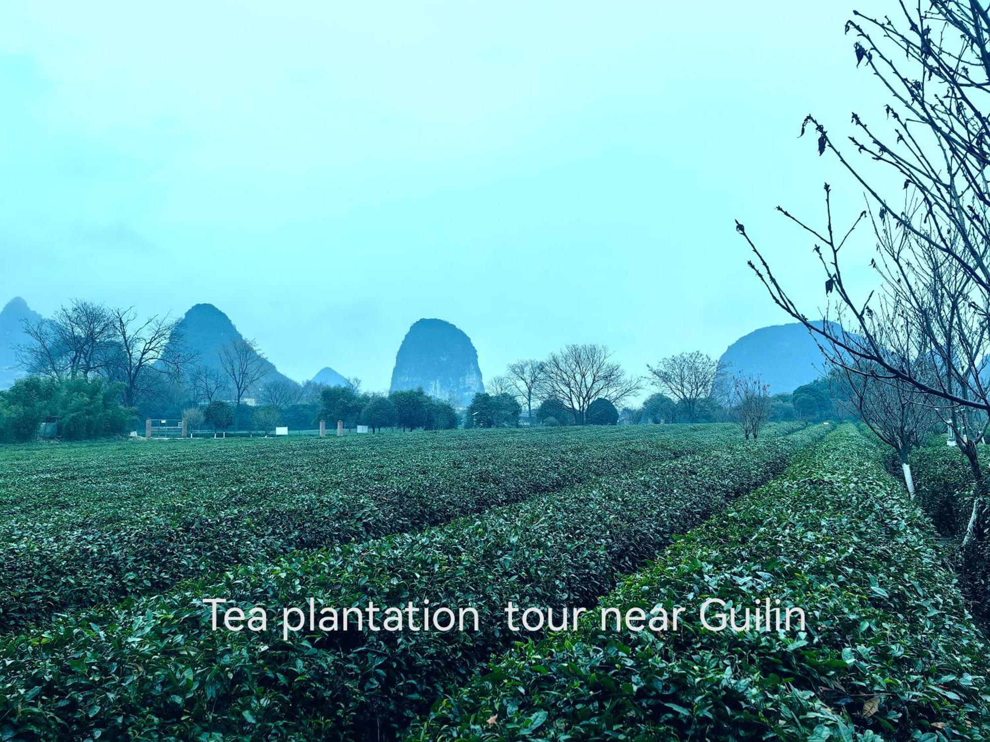 Guilin Village Creek Inn-Free Private Car Pick Up Station Stay 3 Nights Exterior foto